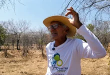 A sabedoria ancestral dos profetas da chuva no sertão brasileiro