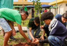 Ação ambiental em Senador Canedo promove plantio de mudas no IFG