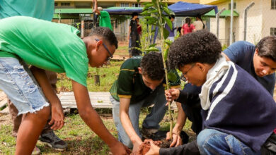 Ação ambiental em Senador Canedo promove plantio de mudas no IFG