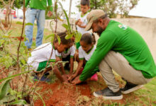 Ação de plantio em Senador Canedo celebra o Dia da Árvore com alunos