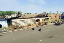 Acidente entre carro e caminhão de gado na Go-244 deixa ferido e mata quatro animais