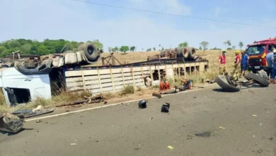 Acidente entre carro e caminhão de gado na Go-244 deixa ferido e mata quatro animais