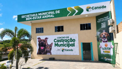 Castração animal gratuita em Senador Canedo atinge marca de 1.900 procedimentos