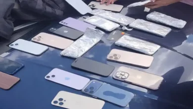 Celulares furtados em show de Gusttavo Lima são recuperados pela polícia na Bahia