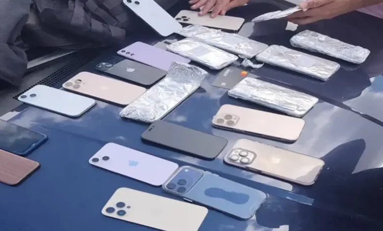 Celulares furtados em show de Gusttavo Lima são recuperados pela polícia na Bahia
