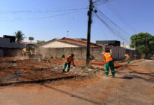 Comurg intensifica limpeza de terrenos baldios autuados em Goiânia