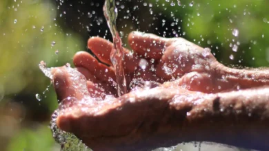 Consumo consciente de água é estratégia essencial durante períodos de seca e calor