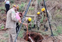 Corpo de Bombeiros realiza resgate técnico de cavalo preso em poço em Niquelândia