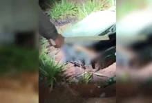 Corpo em avançado estado de decomposição é localizado dentro de mala em Goianira