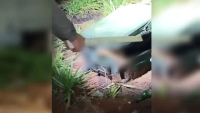 Corpo em avançado estado de decomposição é localizado dentro de mala em Goianira