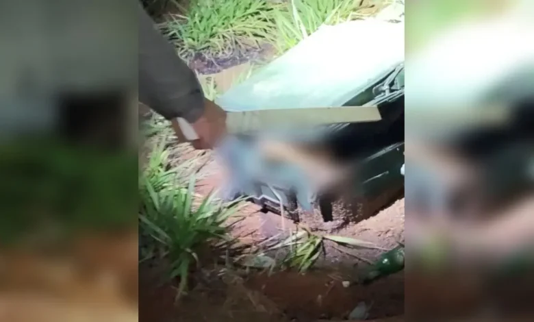 Corpo em avançado estado de decomposição é localizado dentro de mala em Goianira