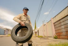 Dengue em Anápolis registra queda de 53% mas chuvas mantêm alerta sanitário
