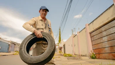 Dengue em Anápolis registra queda de 53% mas chuvas mantêm alerta sanitário