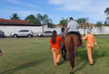 Equoterapia hospitalar auxilia na recuperação de pacientes em Aparecida de Goiânia