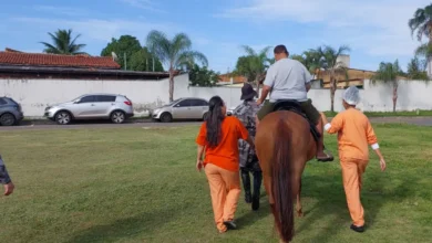 Equoterapia hospitalar auxilia na recuperação de pacientes em Aparecida de Goiânia