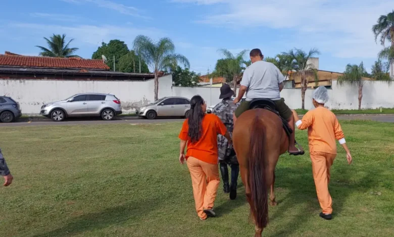 Equoterapia hospitalar auxilia na recuperação de pacientes em Aparecida de Goiânia