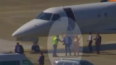 Escritório de Viviane Barci de Moraes refuta vínculo com Daniel Vorcaro após vídeo de voo