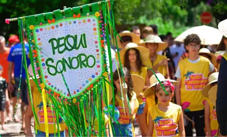 Festival Guardiões da Arte celebra cultura e música em Pirenópolis