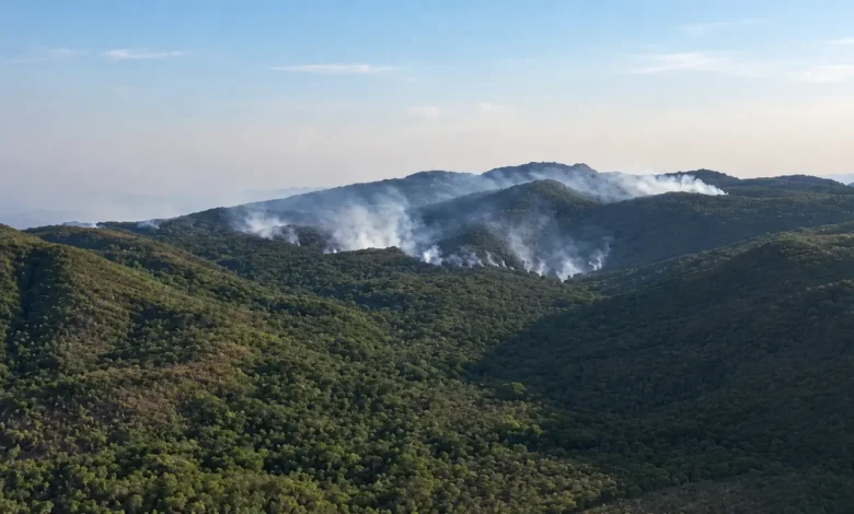 Fogo na Serra de Calcilândia consome 1,4 mil hectares e mobiliza bombeiros há três dias em Goiás
