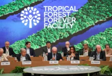 Fundo de florestas tropicais atinge US$ 7,3 bilhões com aporte britânico