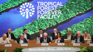 Fundo de florestas tropicais atinge US$ 7,3 bilhões com aporte britânico