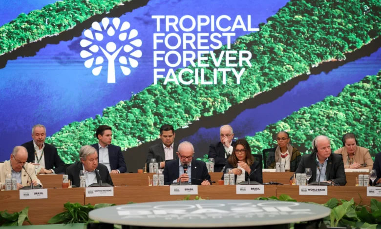 Fundo de florestas tropicais atinge US$ 7,3 bilhões com aporte britânico
