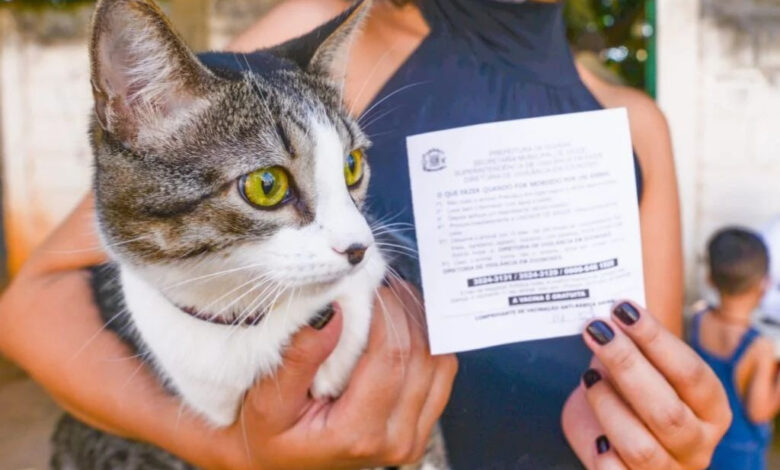 Goiânia imuniza mais de 74 mil animais contra a raiva em campanha municipal
