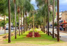 Goiânia na primavera: quatro roteiros para explorar a capital a pé ou de bicicleta