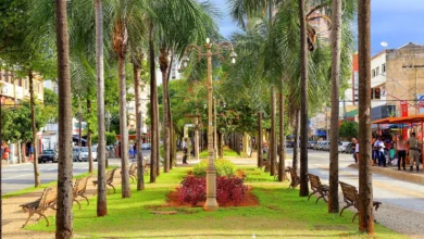 Goiânia na primavera: quatro roteiros para explorar a capital a pé ou de bicicleta
