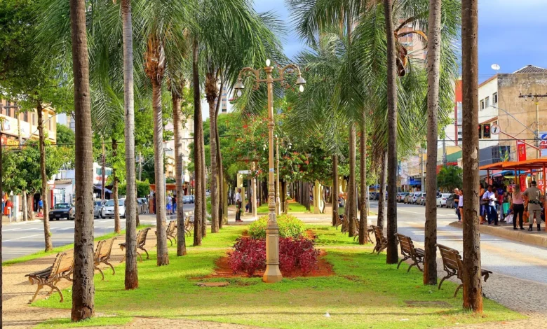 Goiânia na primavera: quatro roteiros para explorar a capital a pé ou de bicicleta