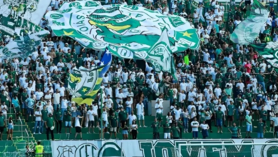 Goiás abre venda de ingressos para confronto decisivo contra o Avaí na Serrinha