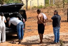 Golpe da peneira internacional leva homem à prisão em Goiânia