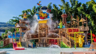 Hot Park prepara atrações exclusivas para o público infantil em outubro