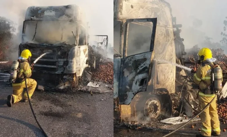 Incêndio destrói caminhão de maçãs na divisa entre Goiás e Tocantins