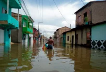 Inflação climática: como o desequilíbrio ambiental encarece o custo de vida no Brasil