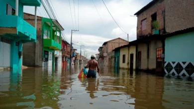 Inflação climática: como o desequilíbrio ambiental encarece o custo de vida no Brasil