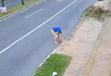 Justiça concede liberdade a idoso flagrado ao descartar cadela em bueiro de Goiânia