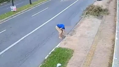 Justiça concede liberdade a idoso flagrado ao descartar cadela em bueiro de Goiânia