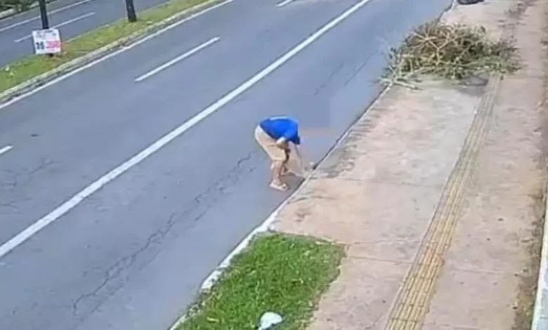 Justiça concede liberdade a idoso flagrado ao descartar cadela em bueiro de Goiânia