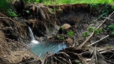 Justiça ordena fim do despejo de esgoto no Córrego Aguão em Caldas Novas