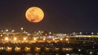 Lua da Colheita brilha sobre o céu de Goiânia e encanta observadores