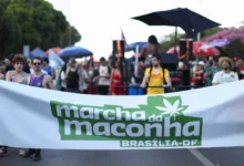 Marcha da Maconha reúne manifestantes em Brasília para defender legalização