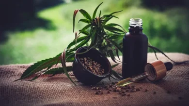 Mercado de cannabis medicinal projeta faturamento de R$ 1,2 bilhão até 2026