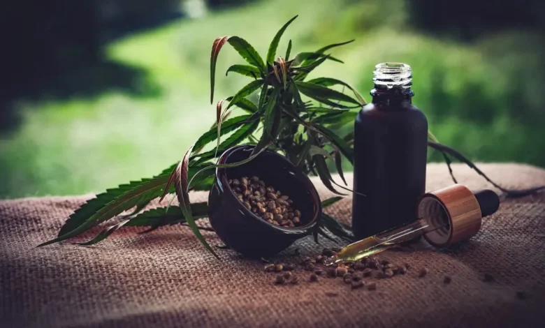 Mercado de cannabis medicinal projeta faturamento de R$ 1,2 bilhão até 2026
