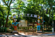 Mutirama terá novos brinquedos e área sensorial com investimento de R$ 1 milhão