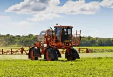 Nova lei do seguro rural estabelece prazos para indenizações de produtores