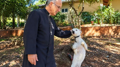 Opiniões de padre Luiz Augusto sobre criação de animais geram debate nas redes sociais