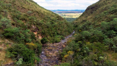 Parque da Serra de Caldas Novas atrai R$ 221 milhões em concessão de 35 anos prevista para novembro