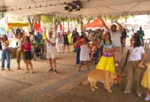 Praça Cívica sedia 2ª Parada PCD neste domingo com foco no combate à violência contra a pessoa com deficiência