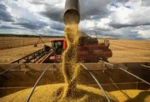 Prazo final para o ITR 2026 exige atenção de produtores rurais sob risco de multas